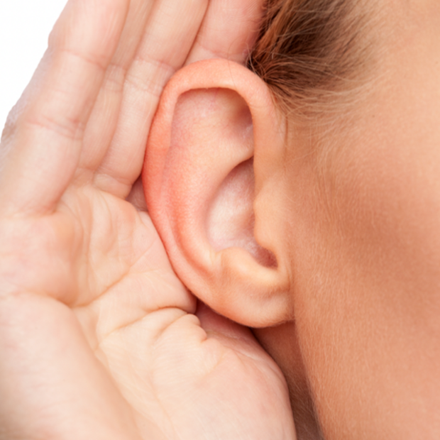 Ohren-anlegen-kosten